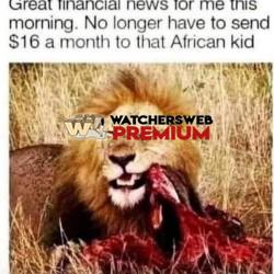 Winning - Ray - QLD, Australia