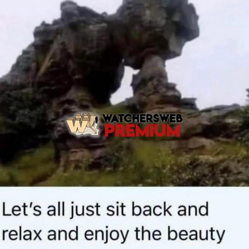 Beautiful - Ray - QLD, Australia