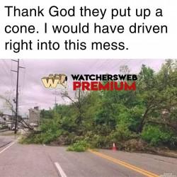 Logic - Ray - QLD, Australia