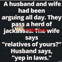 In-Laws - Ray - QLD, Australia