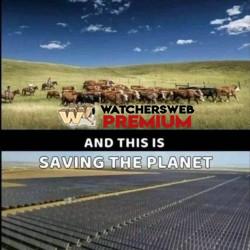 Yep You Are - Ray - QLD, Australia