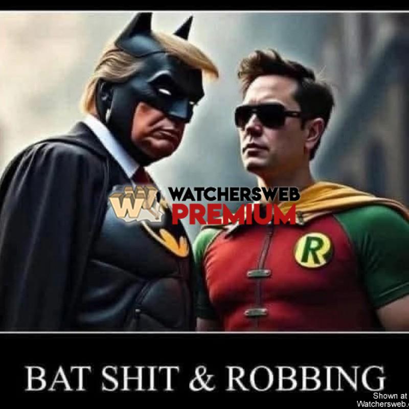 Don't Blame Me - Ray - QLD, Australia