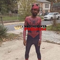 Bed Bug - Ray - QLD, Australia