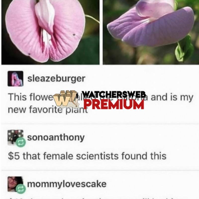 Still Looking - Ray - QLD, Australia