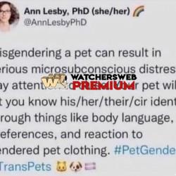 Seems Legit? - Ray - QLD, Australia