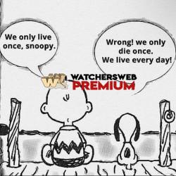 This Is Real - Ray - QLD, Australia