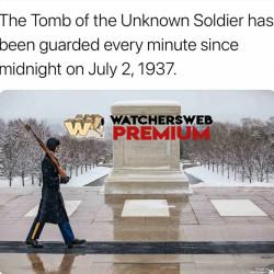 I Didnt Know This - Much Respect ❤️ - Ray - QLD, Australia