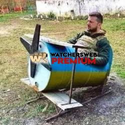 Fly On - Ray - QLD, Australia