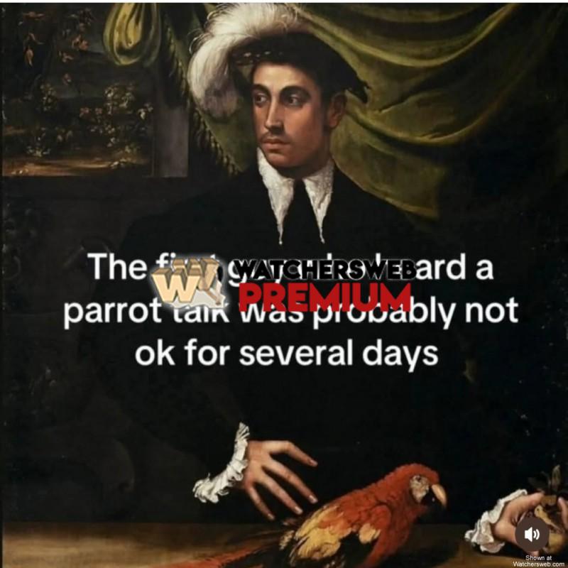 So True - Ray - QLD, Australia