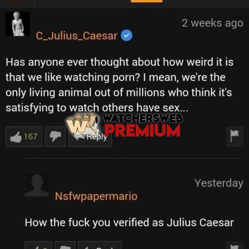 Wtf - Ray - QLD, Australia