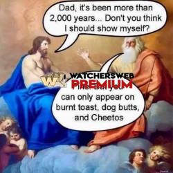 Show Yourself - Ray - QLD, Australia