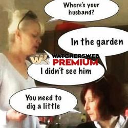 Love It - Ray - QLD, Australia