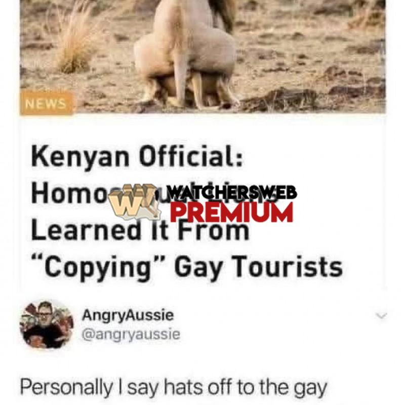 WTF? - Ray - QLD, Australia