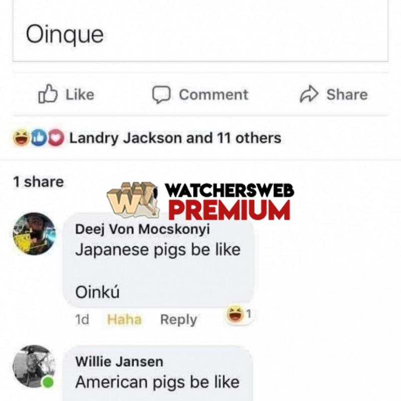 Pigs - Ray - QLD, Australia