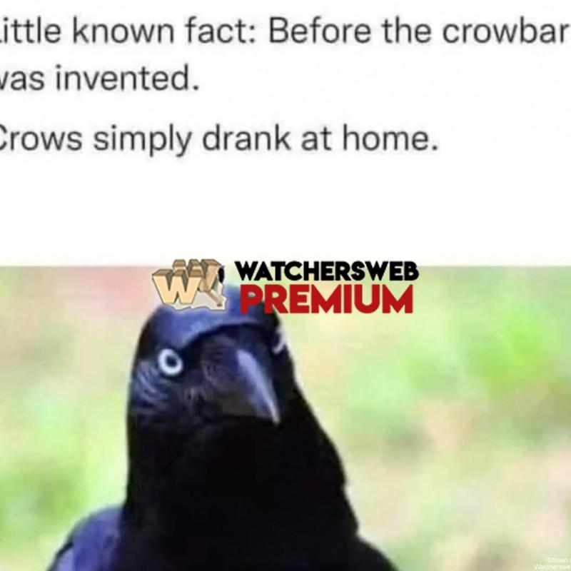 Fact - Monique, QLD - Australia