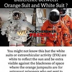 I Didn't Know - Ray - QLD, Australia