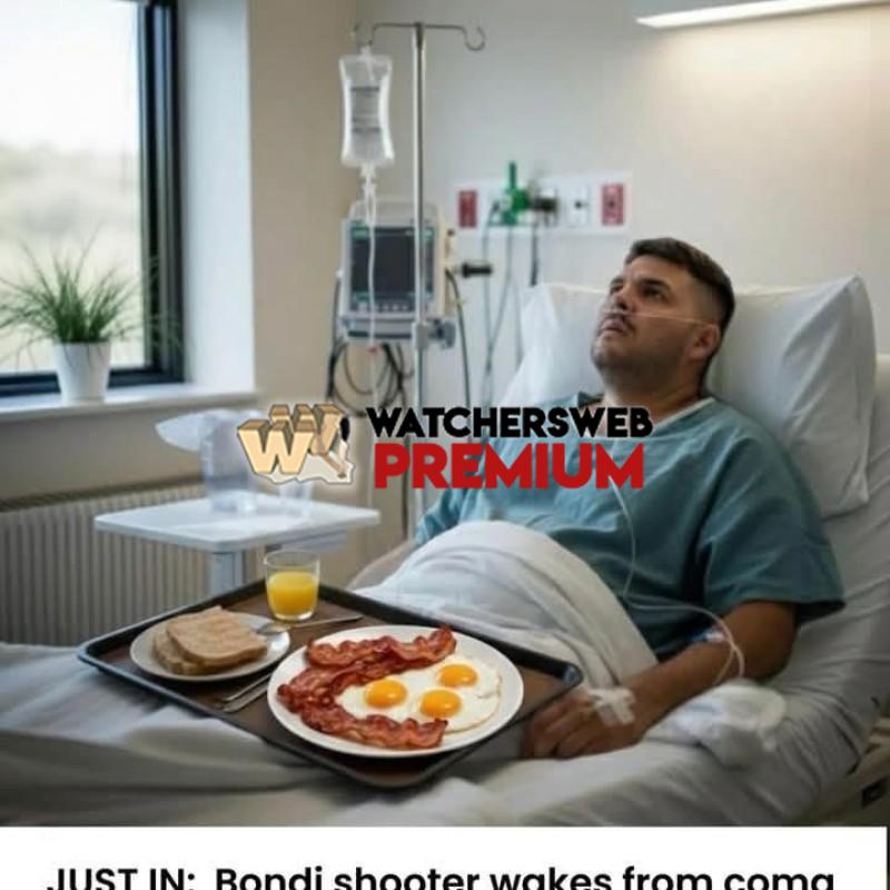 Havababa - Ray - QLD, Australia