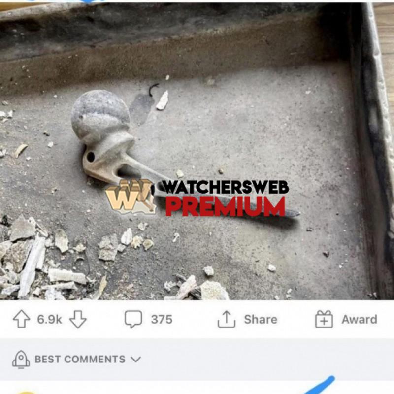 Nanna Speed - Ray - QLD, Australia