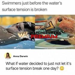 Swimmers - Monique, QLD - Australia