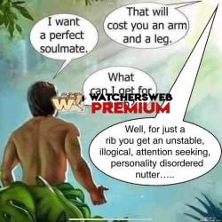 True - Ray - QLD, Australia