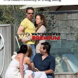 Bizzare - Ray - QLD, Australia