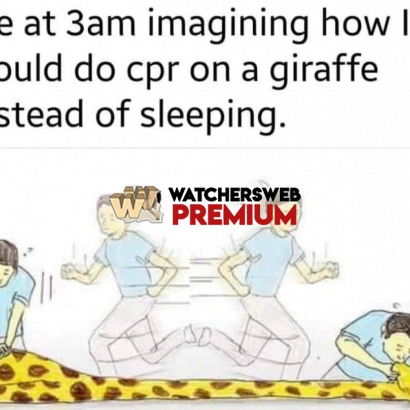 This Is Me - Ray - QLD, Australia