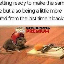 Choices - Monique, QLD - Australia