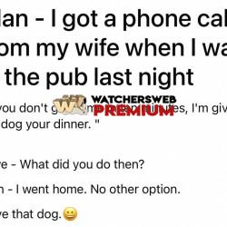 Good Man - Ray - QLD, Australia