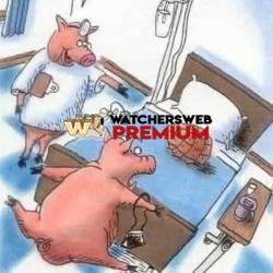 He's Cured! - Emma - QLD, Australia