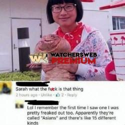 Asians - Ray - QLD, Australia