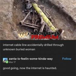 Low Tech - Ray - QLD, Australia