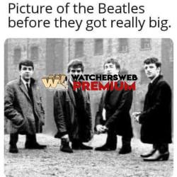 Still Overated - Ray - QLD, Australia