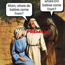 Yeah Mary - Ray - QLD, Australia