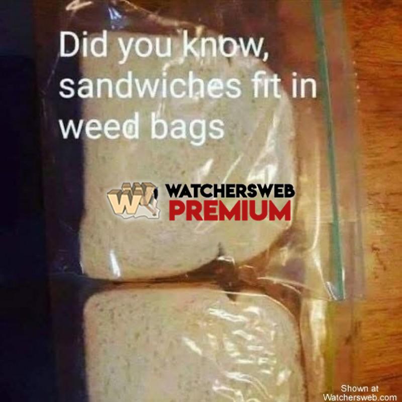 Weird - Ray - QLD, Australia