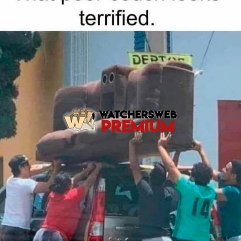 I See That - Ray - QLD, Australia