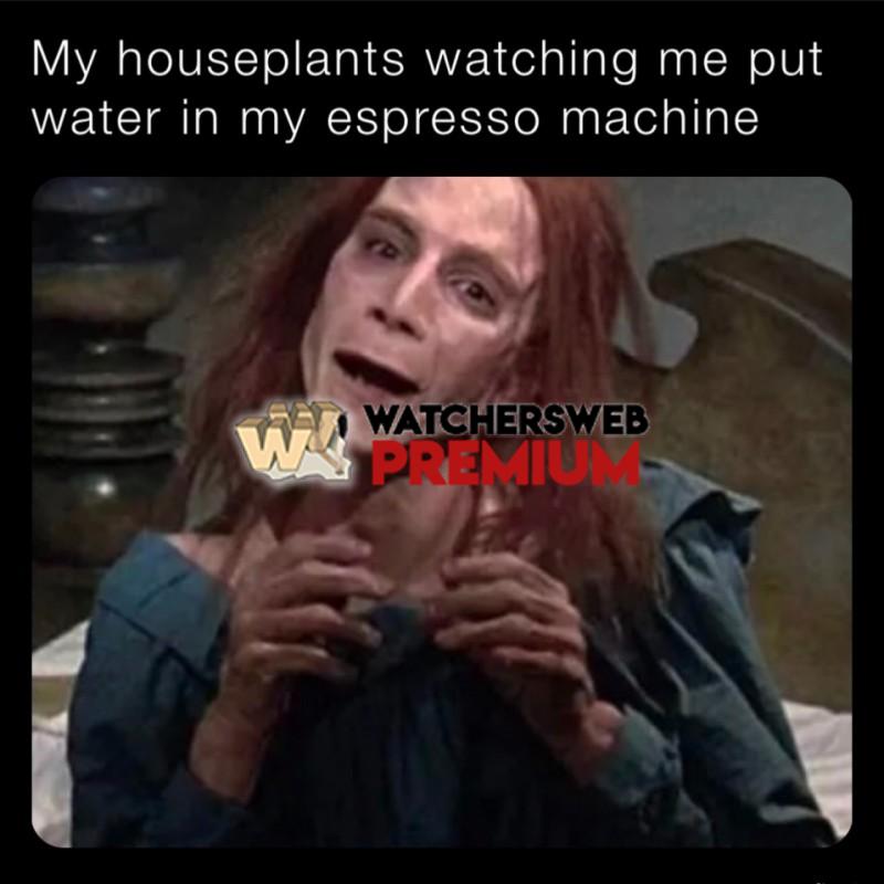 My House - Ray - QLD, Australia