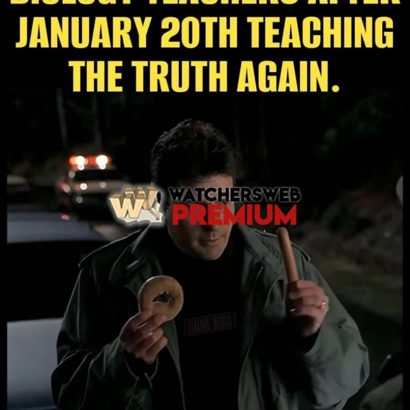 2025 - Ray - QLD, Australia