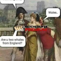 Whales - Ray - QLD, Australia