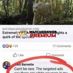 Got A Point - Ray - QLD, Australia