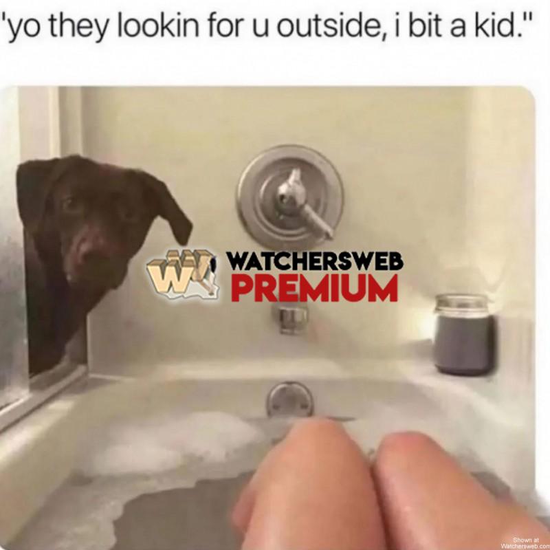 Busted - Ray - QLD, Australia