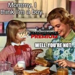 Discussion Over - Ray - QLD, Australia