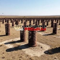 What Singer? - Ray - QLD, Australia