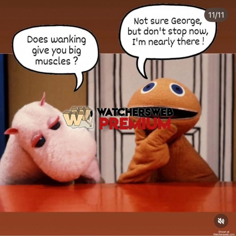 Wanker - Ray - QLD, Australia