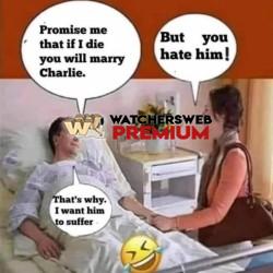 Well Played - Ray - QLD, Australia