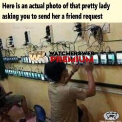 Old News - Ray - QLD, Australia