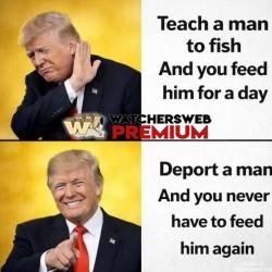 Good Plan - Ray - QLD, Australia