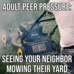 Adult Peer Pressure