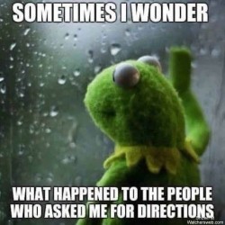 I Wonder