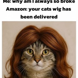 Broke