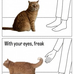 Pet Me